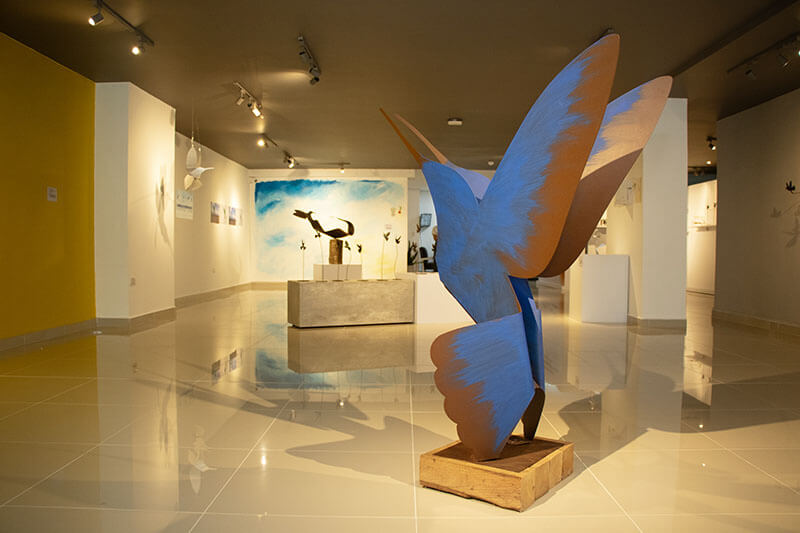 COLIBRI URBANO