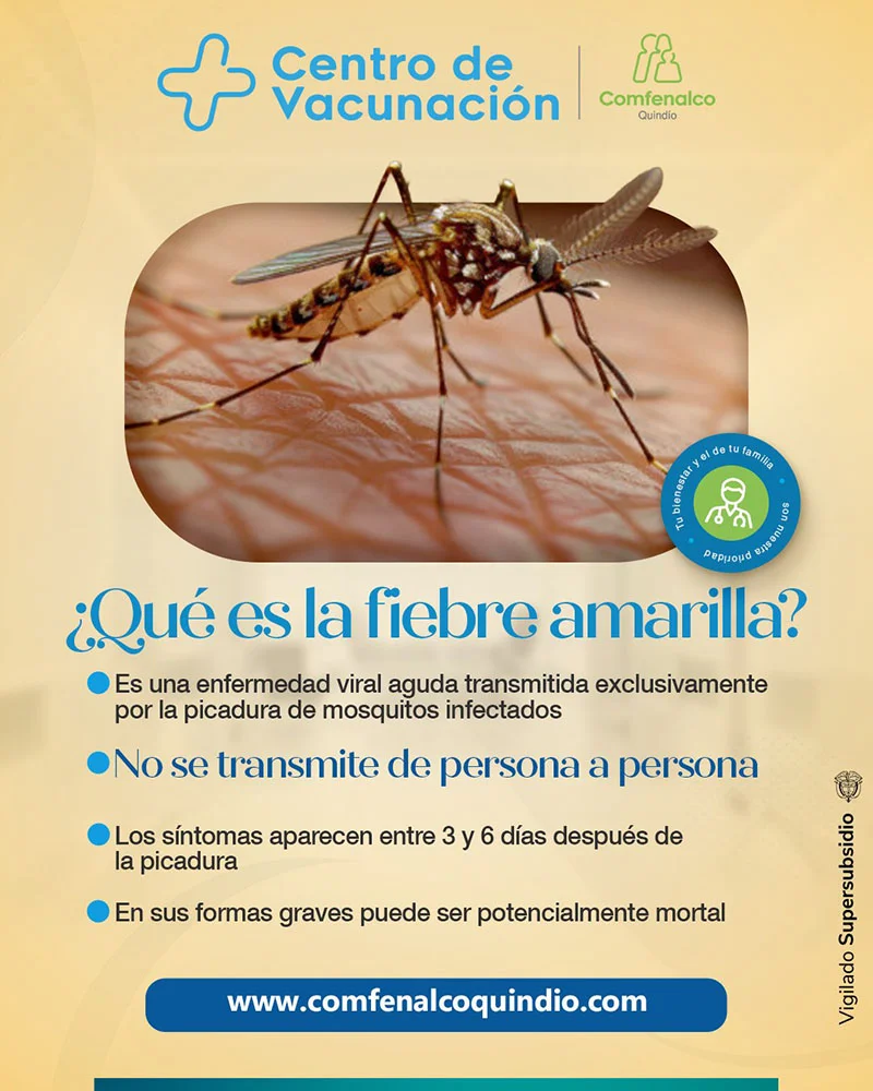 vacunacion-fiebre-amarilla (1)