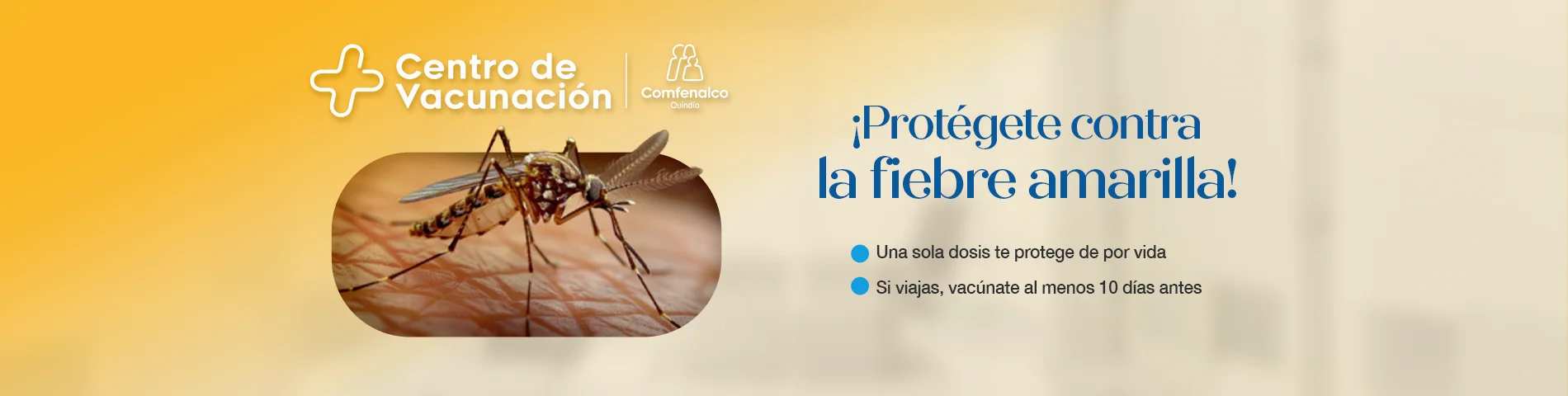 vacunacion fiebre amarilla